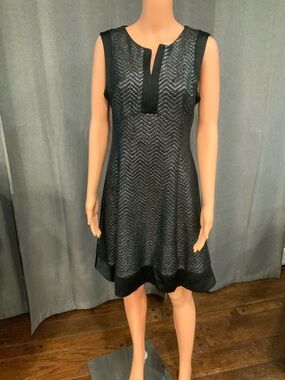 Roz & Ali Black Textured Sleeveless A-Line Dress with Notch Placket